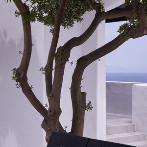 Thermia Suites Hotel Photo