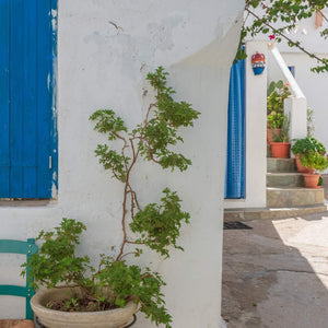 The Island of Kythnos
